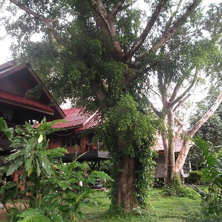 แบมบู เฮ้าส์ Hotel Khao Sok National Park ภายนอก รูปภาพ