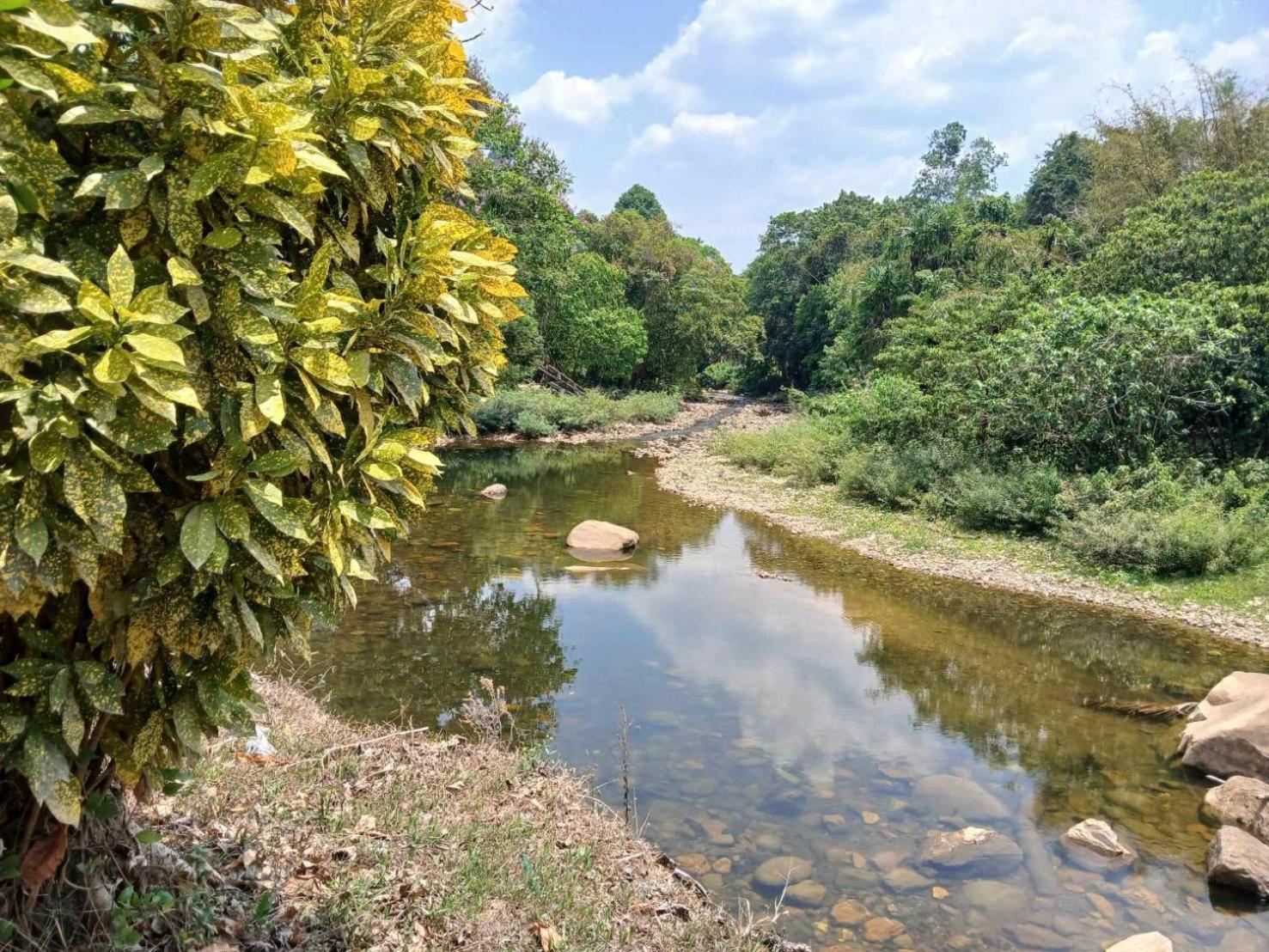 แบมบู เฮ้าส์ Hotel Khao Sok National Park ภายนอก รูปภาพ