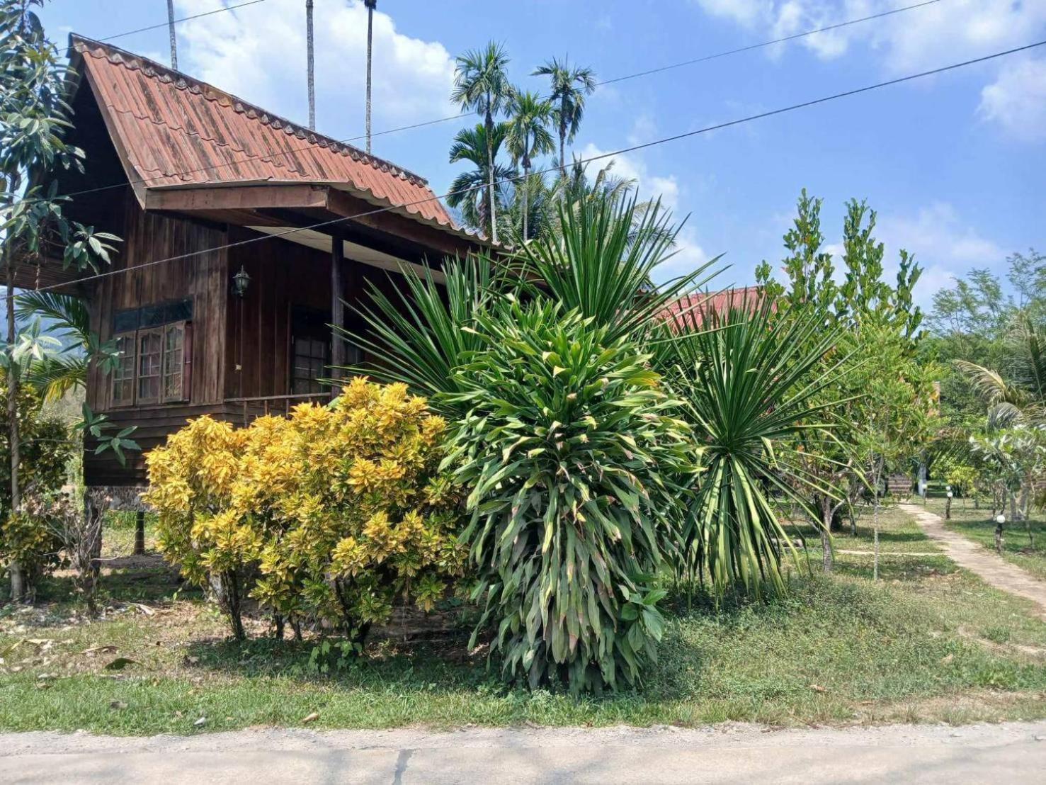 แบมบู เฮ้าส์ Hotel Khao Sok National Park ภายนอก รูปภาพ