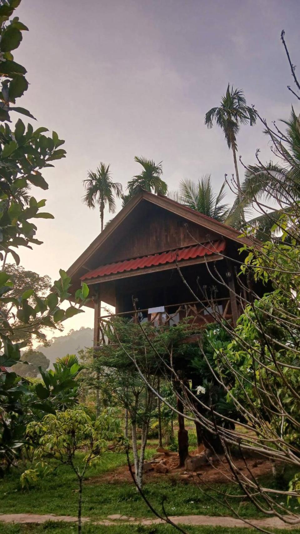 แบมบู เฮ้าส์ Hotel Khao Sok National Park ภายนอก รูปภาพ