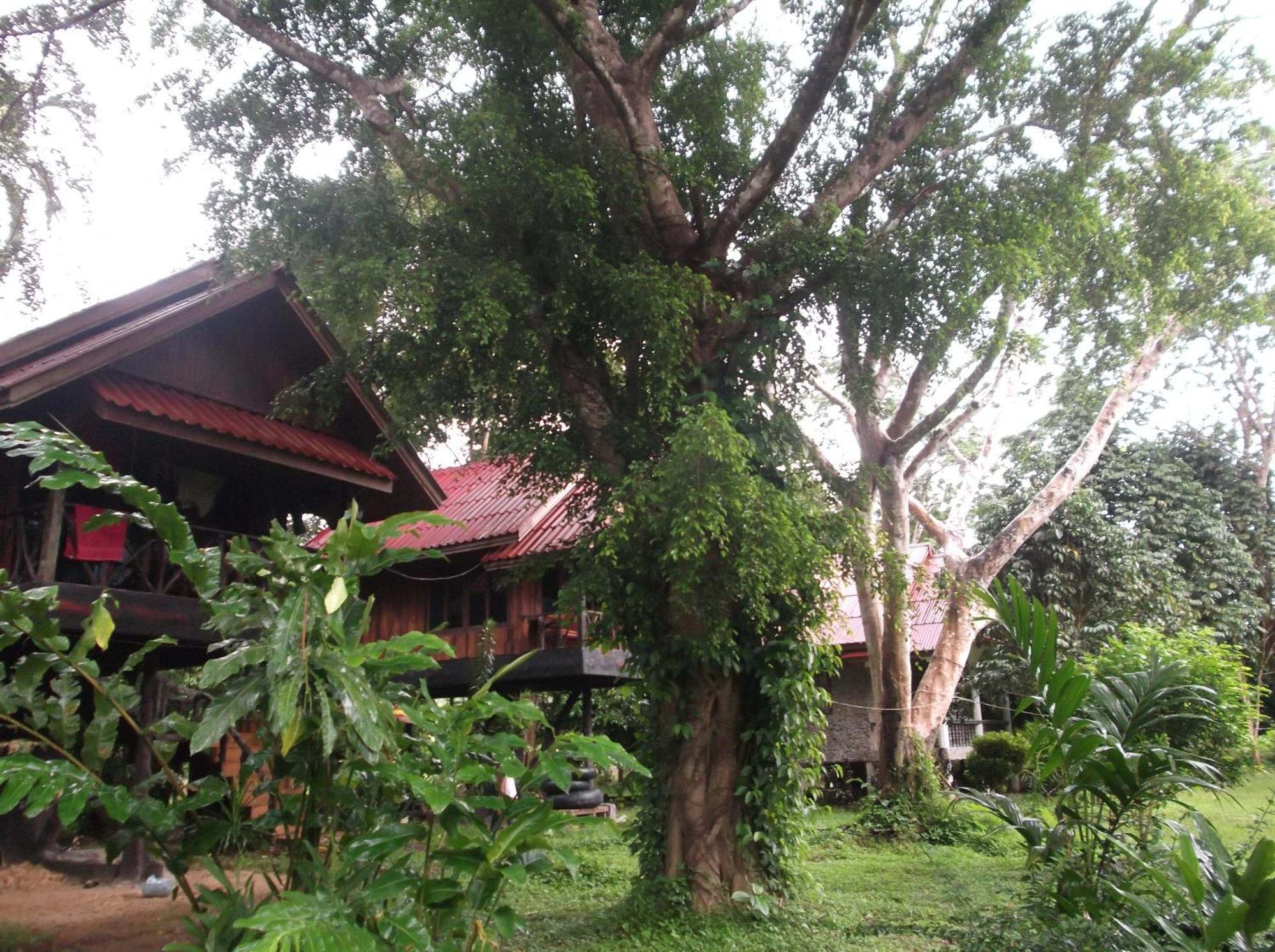 แบมบู เฮ้าส์ Hotel Khao Sok National Park ภายนอก รูปภาพ