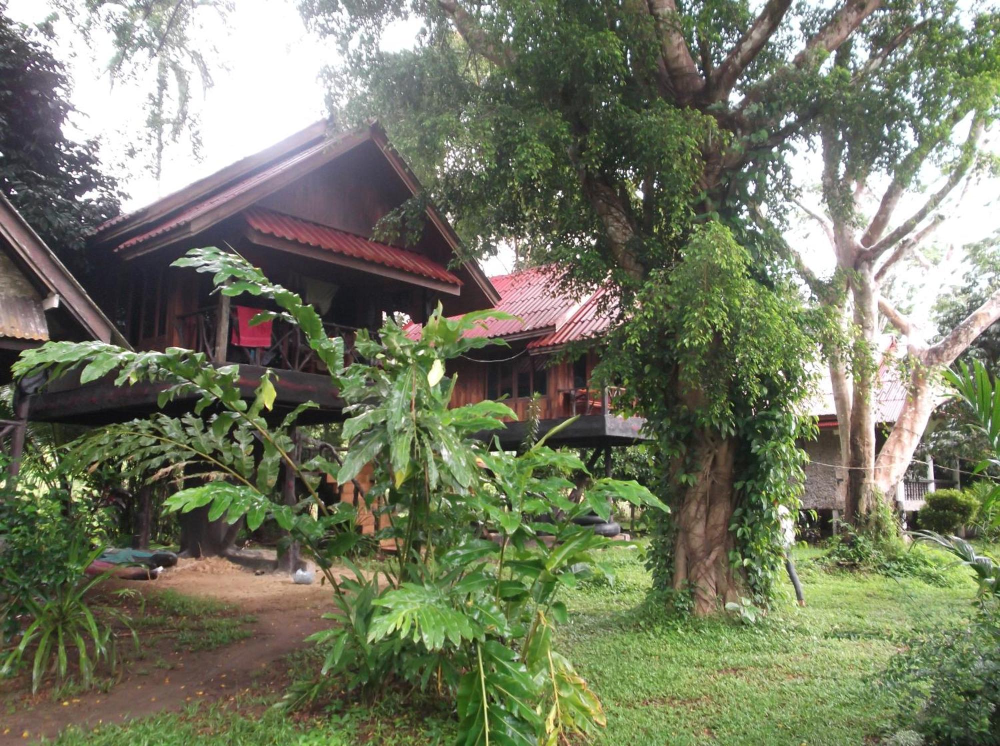 แบมบู เฮ้าส์ Hotel Khao Sok National Park ภายนอก รูปภาพ