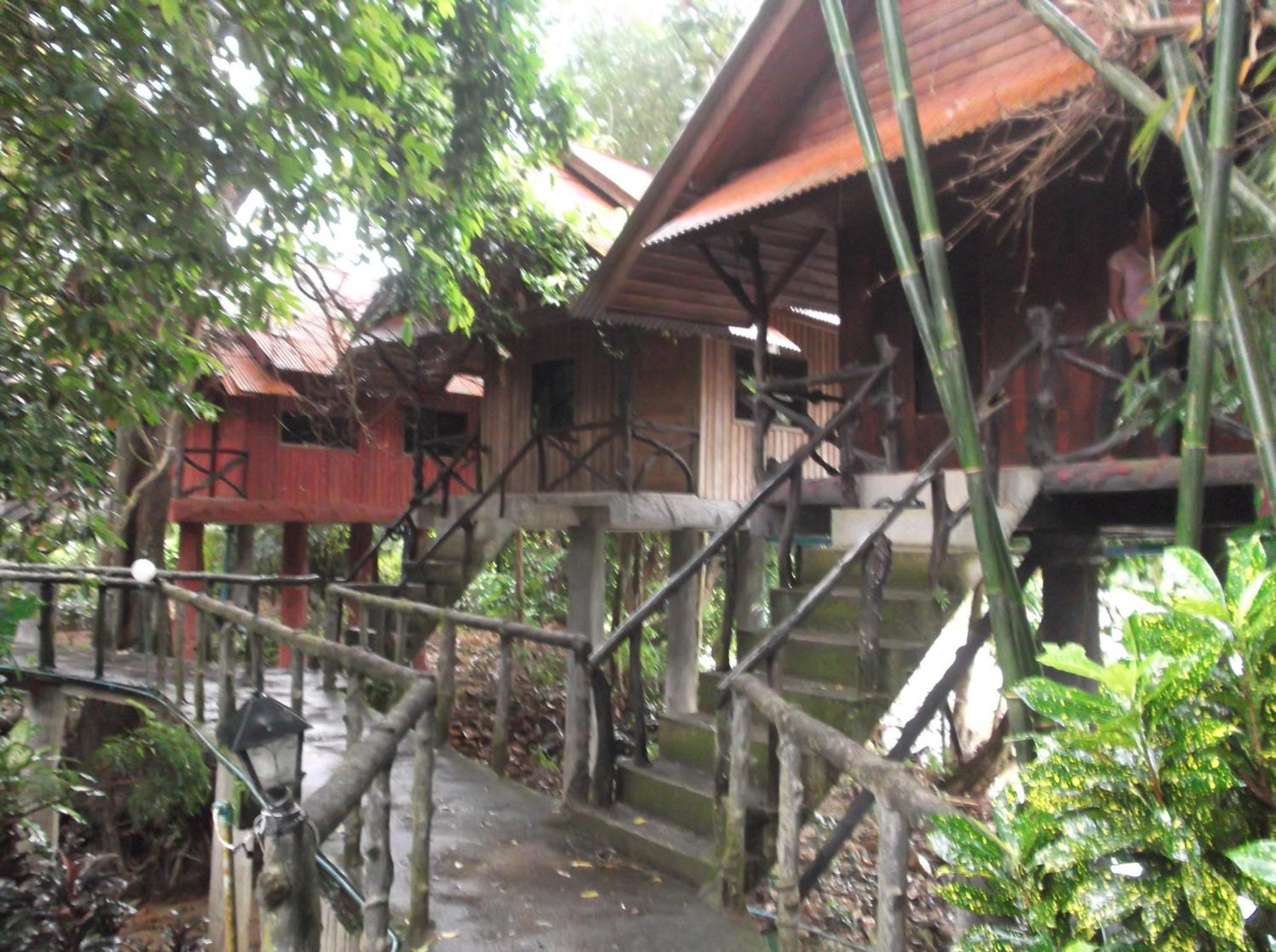 แบมบู เฮ้าส์ Hotel Khao Sok National Park ภายนอก รูปภาพ