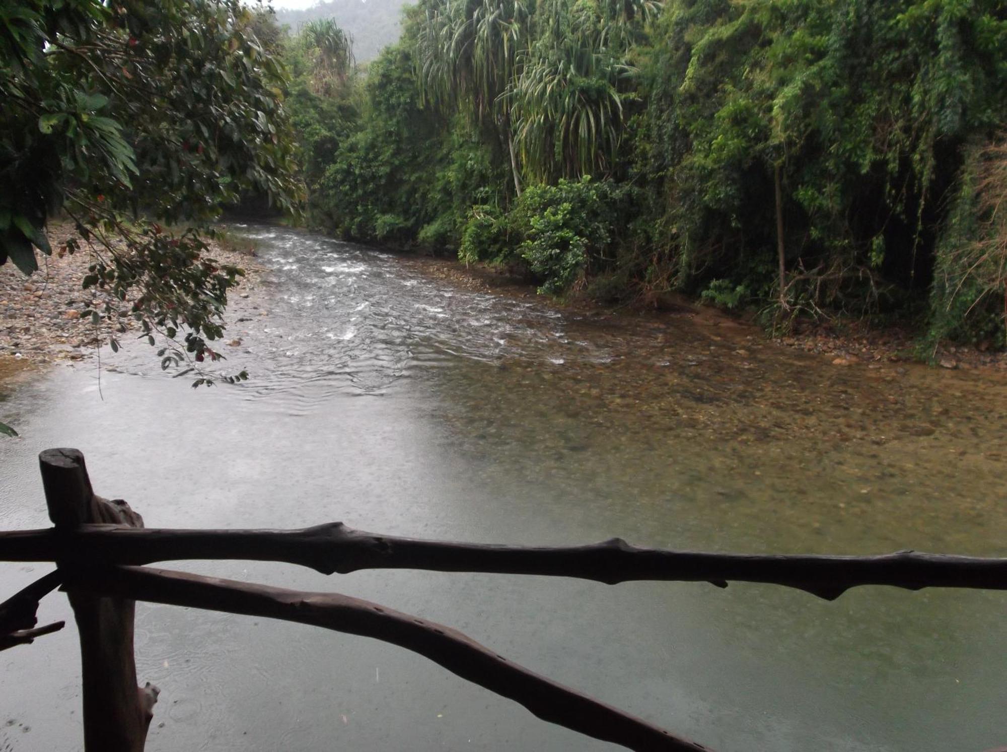 แบมบู เฮ้าส์ Hotel Khao Sok National Park ภายนอก รูปภาพ