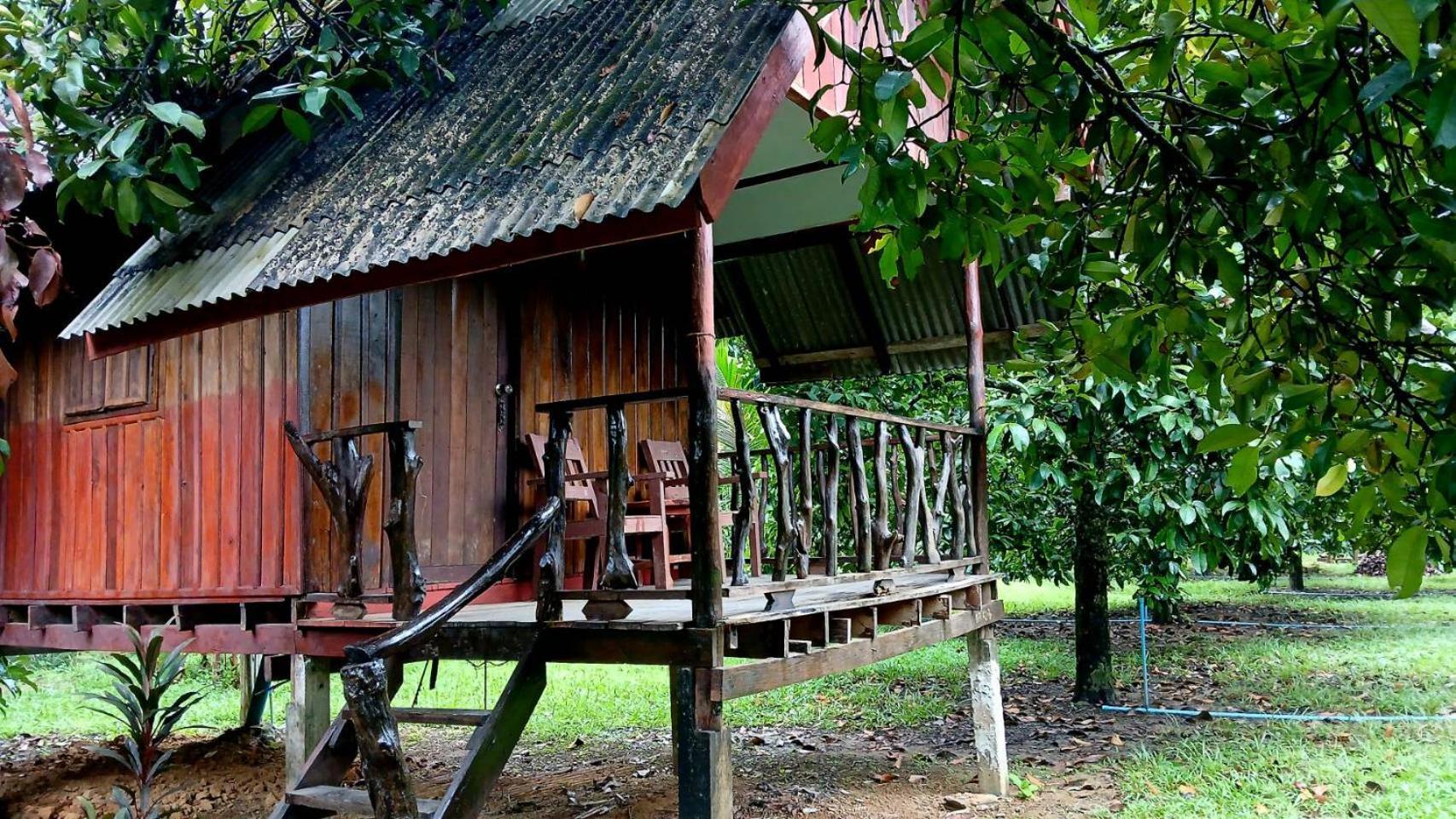 แบมบู เฮ้าส์ Hotel Khao Sok National Park ภายนอก รูปภาพ