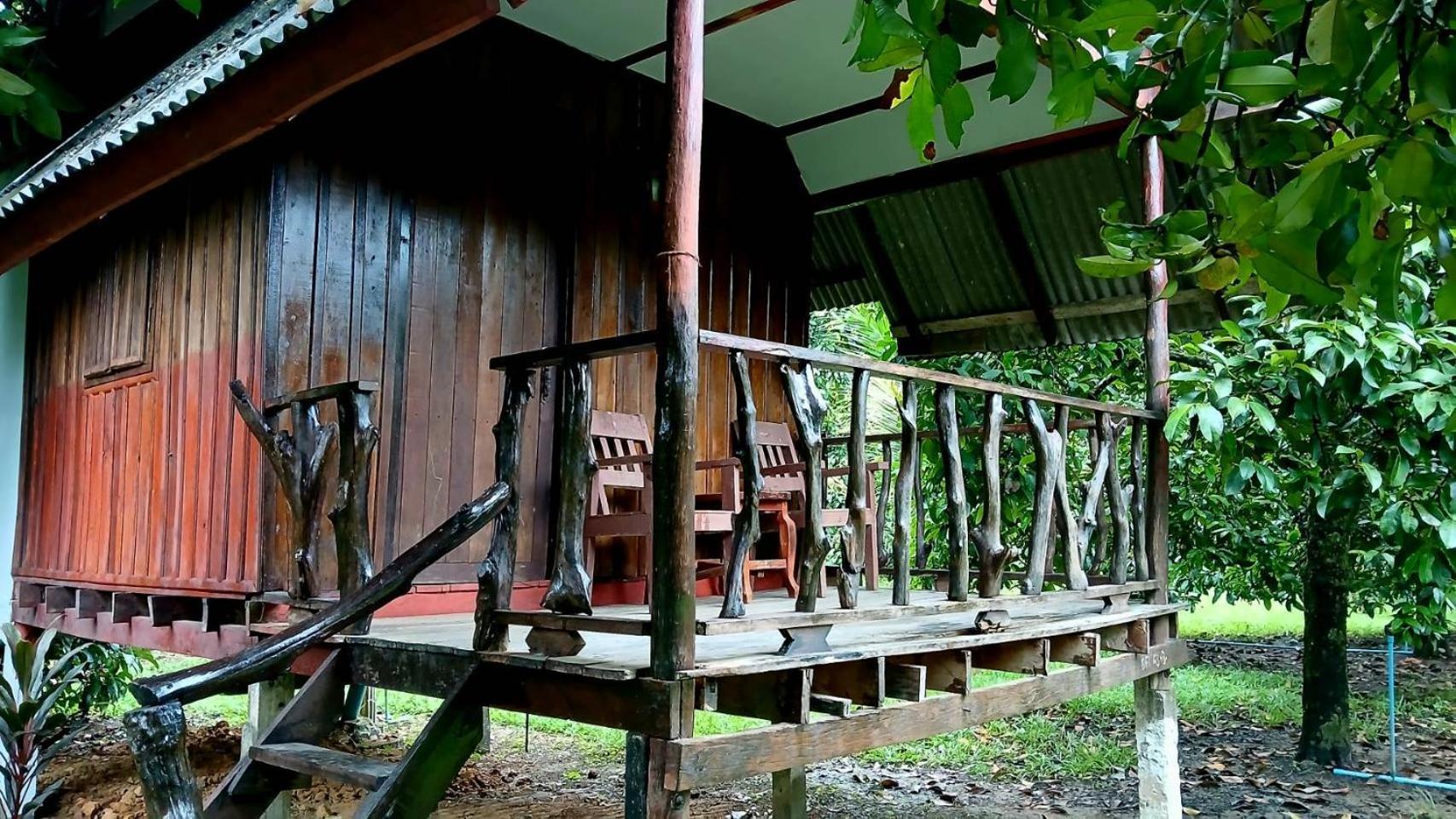 แบมบู เฮ้าส์ Hotel Khao Sok National Park ภายนอก รูปภาพ