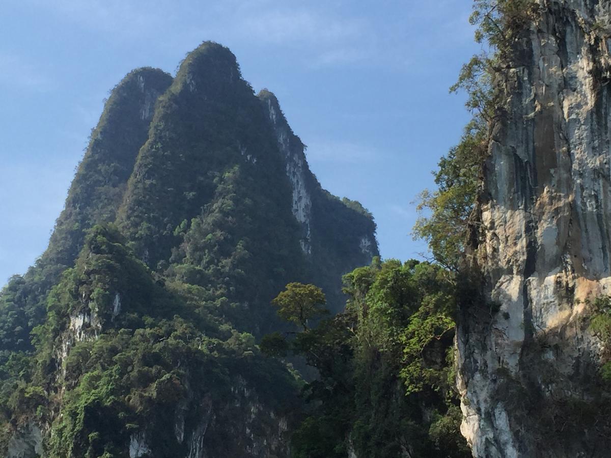 แบมบู เฮ้าส์ Hotel Khao Sok National Park ภายนอก รูปภาพ