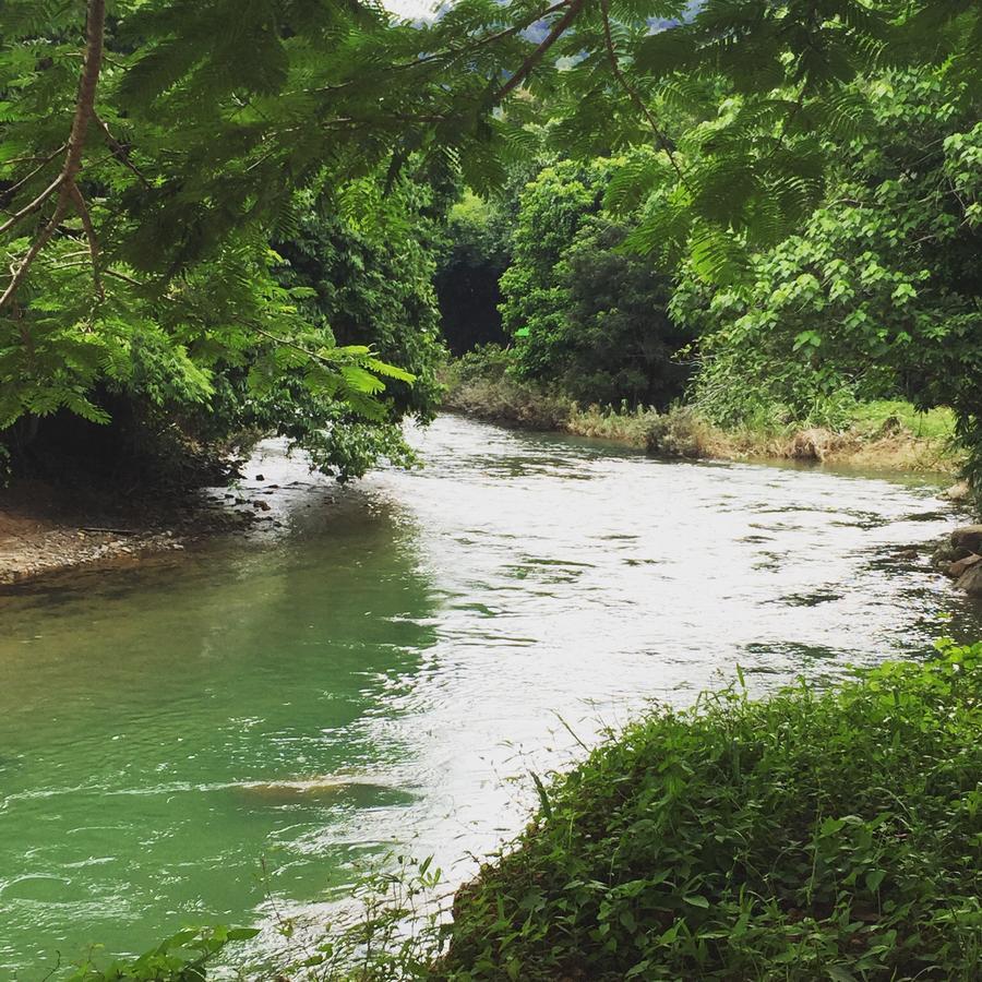 แบมบู เฮ้าส์ Hotel Khao Sok National Park ภายนอก รูปภาพ